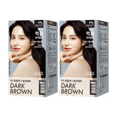 꽃을든남자 CS 오징어 먹물 새치 염색약 200g, N3 흑갈색, 2개