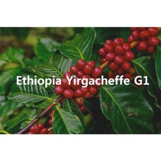 조셉의커피나무 150g 에티오피아 예가체프, 1개