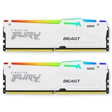 킹스톤 킹스톤 FURY DDR5-6000 CL30 Beast RGB 화이트 패키지 코잇 (32GB(16Gx2))