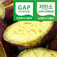 [여주명품농장] 농약안심단골보장 포슬달콤 꿀 밤고구마, 1박스, 3kg(왕)