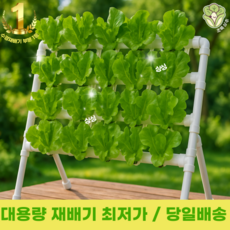 초록상추 수경재배기 가정용 실내 텃밭, 1개
