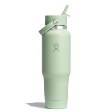 Hydro Flask 여행용 물병 - 단열 스테인리스 스틸 넓은 빨대 뚜껑 흘림 방지 누출 방지 1.2L40온스 토널 블랙 180635, 1.2L(40온스), 알로에