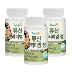 네추럴핏 류신 프리미엄 정 60g, 60정, 3개