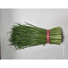 산지직송 국내산 신선부추, 2개, 600g