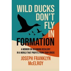 (영문도서)Wild Ducks Don't Fly in Formation: A Memoir on Becoming Resilient in a World Tha... Paperback, Independent, English, 9798993913308