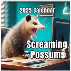 2025年厚紙尖叫負鼠掛曆，Possum動物愛好者必備，每日記錄生活點滴, 1個, #1