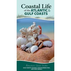 Coastal Life of the Atlantic and Gulf Coasts: Easily Identify Seashells Beachcoming Finds and Icon... Spiral, Adventure Publications