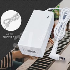 전자피아노전원어댑터 DC12V 4A 악기 연주용 안정 전원 공급, 1개, 상세페이지 참조