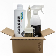 청정세상 곰팡이제거제500g(붓1)+반응촉진제 에코오투500ml1, 1개