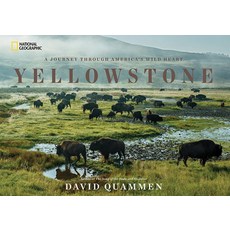 (영문도서) Yellowstone: A Journey Through America's Wild Heart Hardcover, National Geographic Society, English, 9781426217548