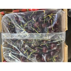 [쥬씨] 새콤 달콤 프리미엄 생체리 산티나(칠레산), 1박스, 1kg(생체리)