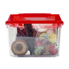 BUGS PRINCE 사슴벌레 사육세트 초급자 레드, 1개