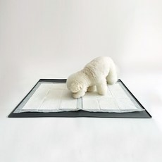 Coco's House寵物防滑矽膠排便墊 特大, 灰色