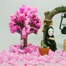 매직사쿠라 벚꽃 나무 키우기 DIY 키트, 1개