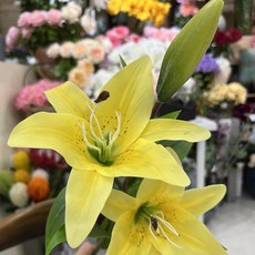 百合花仿真花束 高品質客廳擺設 電視櫃插花 餐桌花藝 攝影道具, 1個, 膠片長枝小百閤-黃色