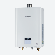 Rinnai RUA-D1600WF 16L屋內型強制排氣熱水器 (天然氣NG1)(不含安裝)