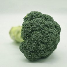 국내산 브로콜리 1kg (제주), 1개
