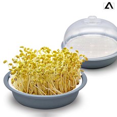 가정용 채소 재배기 실내 콩나물 화분 집에서 새싹 야채 키우기, 1개