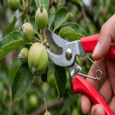 국산 고탄소강 전지가위 원예가위 가지치기 조경 과수원 화훼, 1개