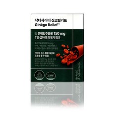 닥터세리티 징코빌리프 은행잎추출물 징코 혈행 식물성코팅 S7, 60정, 2개