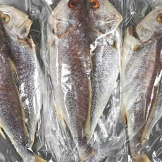 반건조 민어 특대 포 42cm 내외, 1개