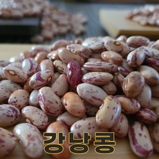 충북 충주 25년산 국산 강낭콩 500g 호랑이콩 양대 호랑이강낭콩, 1개