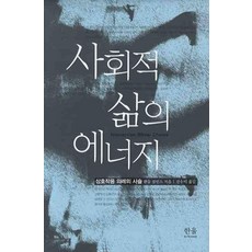 사회적 삶의 에너지:상호작용 의례의 사슬, 한울아카데미, 랜들 콜린스 저/진수미 역