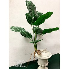 9頭竹芋葉 仿真植物 家居裝飾 綠化植物, 1個