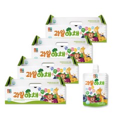 순수식품 과일 야채주스 4박스(120팩) 엘더베리, 100ml, 120팩