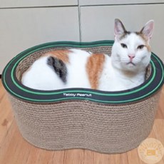 온빛마켓 스크래쳐박스 고양이스크래치