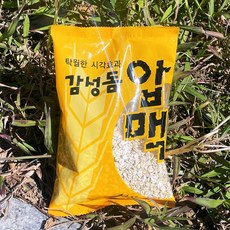 낚시여행 압맥 보리압맥 더많은 압맥 바다용집어제 바다밑밥, 1개