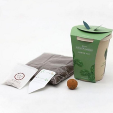 문구 에코컵가든 스위트바질, 본상품