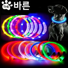 더바른 애견 강아지 LED 목걸이 목줄 야광 산책 용품, 1개, 녹색