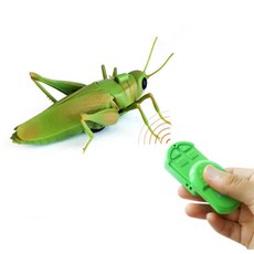 리코컨 무선조정 곤충 메뚜기 RC 장난감 무선곤충장난감 조카선물 가성비RC