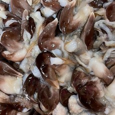 여수 새조개 순살 완전손질 초코새조개 1팩 200g내외, 1개, 200g 16미내외