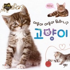 야옹아 야옹아 뭐하니 고양이, 인북, 편집부 저, 지구별 자연동화, 없음null