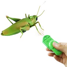 반디 메뚜기 RC 로봇벌레, 1개, 단품