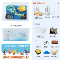 寄居蟹造景小別墅 防逃逸透明飼養箱 家用客廳中小型生態缸, 1個