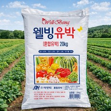 에코컴퍼니 프리미엄 친환경 유기질 유박 비료, 20kg, 1개