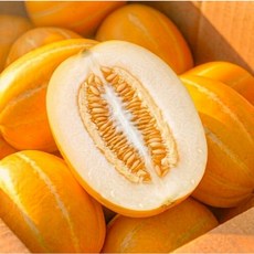 [100박스한정] 달콤보장 성주참외 가정용 못난이, 1박스, 5kg