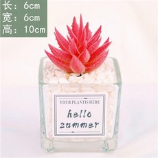 台灣熱賣ins風仿真多肉盆栽，仙人掌綠植客廳擺件，小盆栽裝飾品綠植假花桌面擺設，輕鬆打造清新居家風格, 月兒草+ins小方玻, 1個