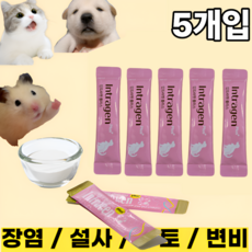 [인트라젠] 장염 설사 구토 변비 면역력강화 유산균 영양제 강아지 고양이 햄스터, 2g, 장건강/유산균, 5개