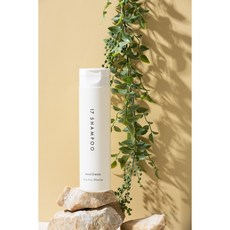 배우 채림이 만든 모발 볼륨감 탈모완화에 좋은 자연유래성분 기능성 우리리우 17샴푸, 250ml, 1개