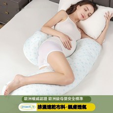 Babycare U型孕婦枕 側睡護腰托腹抱枕 腿枕靠背多功能 冰魄藍 H型U型兩用 獨立內膽, 冰魄藍（H型U型兩用枕-獨立內膽）*現貨