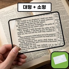 AMENYX 카드형 돋보기 대형+소형
