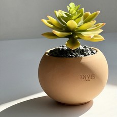 앙비까사 진주 미니토분, 피치(토분만), 1개