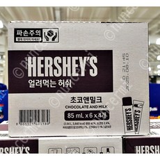 HERSHEYS 허쉬 얼려먹는 허쉬 초코앤밀크, 1개, 2.04L