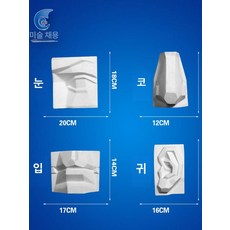 석고 기초도형 기하학 입방체 조형 모형 스케치 교구, 얼굴 특징 절단면 4개