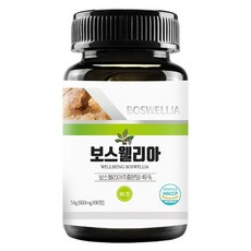 건강기능식품 건강영양제 베스트 503