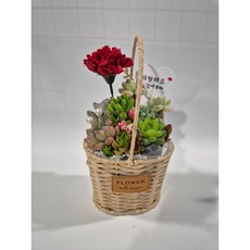 다육아트 카네이션 바구니 내추럴색상 어버이날 스승의날 꽃바구니, 투명가방1p, 1개